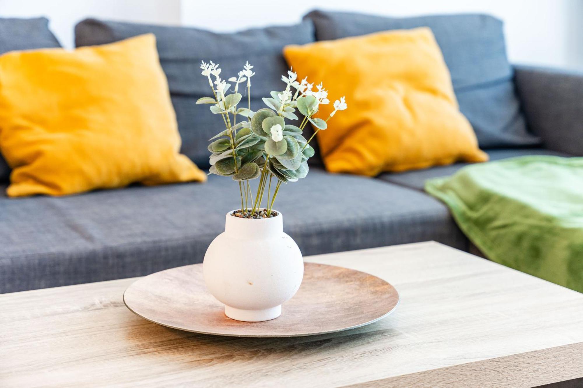 Modern Apollus Avenue - By Openhouse Apartments تيميشورا المظهر الخارجي الصورة